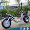 Elektrischer Roller des Rad-40-50KM/H 2 mit großen Rädern/Mode-Stadt-Roller mit schwanzlosem Naben-Motor fournisseur